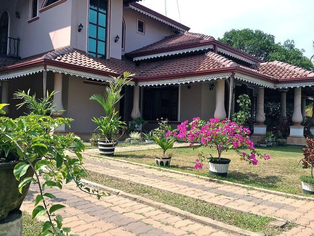 Fire Dragon Guest House Negombo Sri Lanka