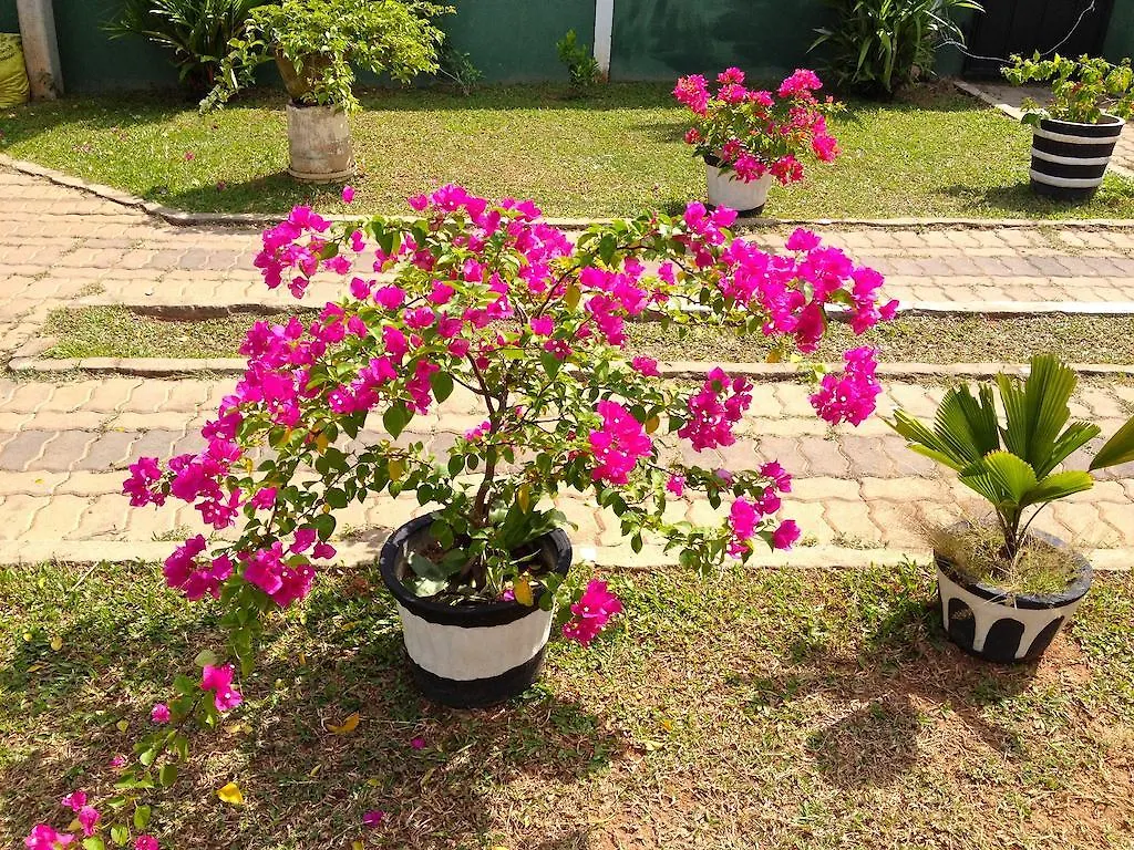 Fire Dragon Guest House Negombo
